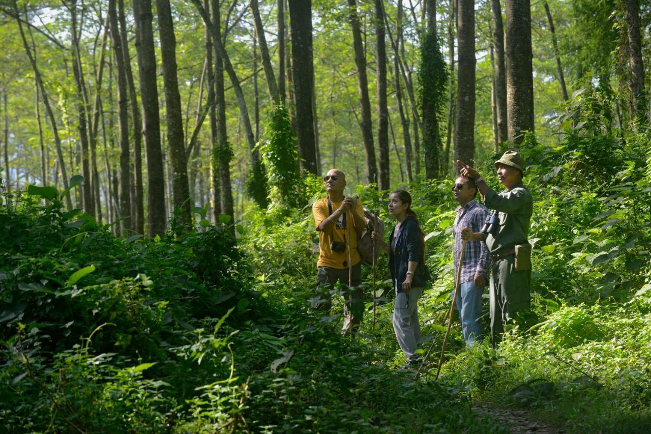 Barahi Jungle Lodge Meghauli Esterno foto