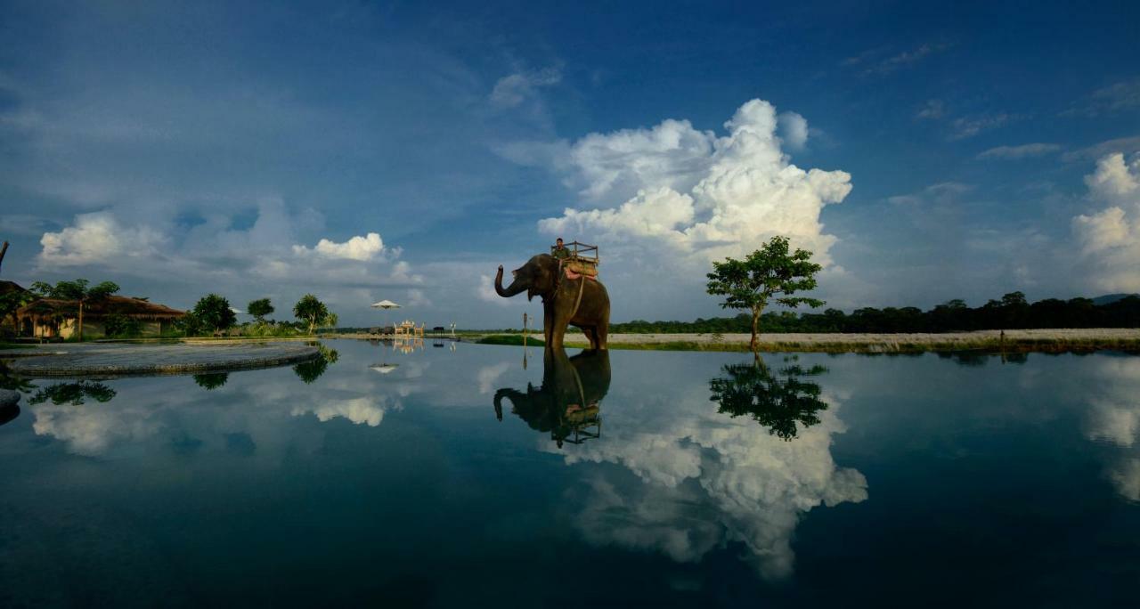 Barahi Jungle Lodge Meghauli Esterno foto